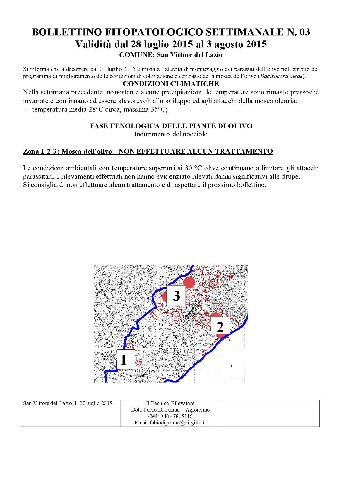 bollettino lotta alla mosca dell'olivo