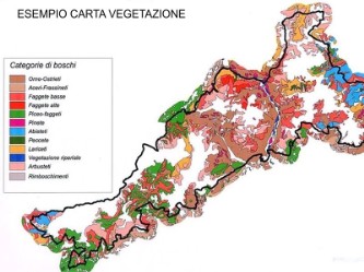 classificazione di boschi