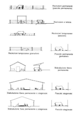 Progettazione bovini