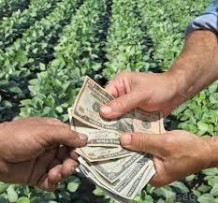 agricoltura e soldi