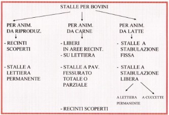 tipologie di stalle